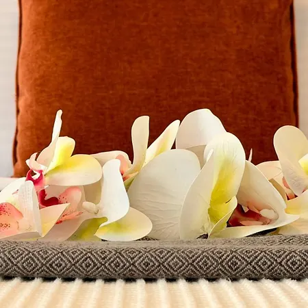 Location Old Town - New *