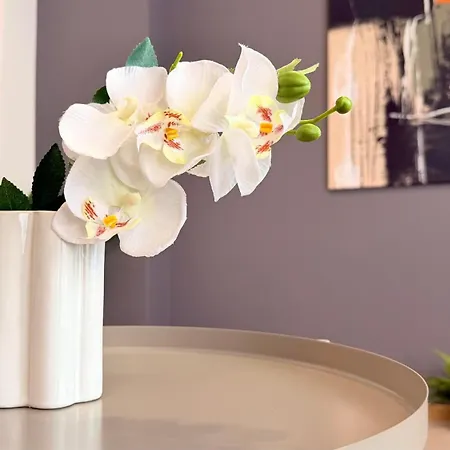 Apartament Location Old Town - New *